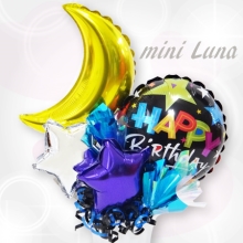 mini Luna